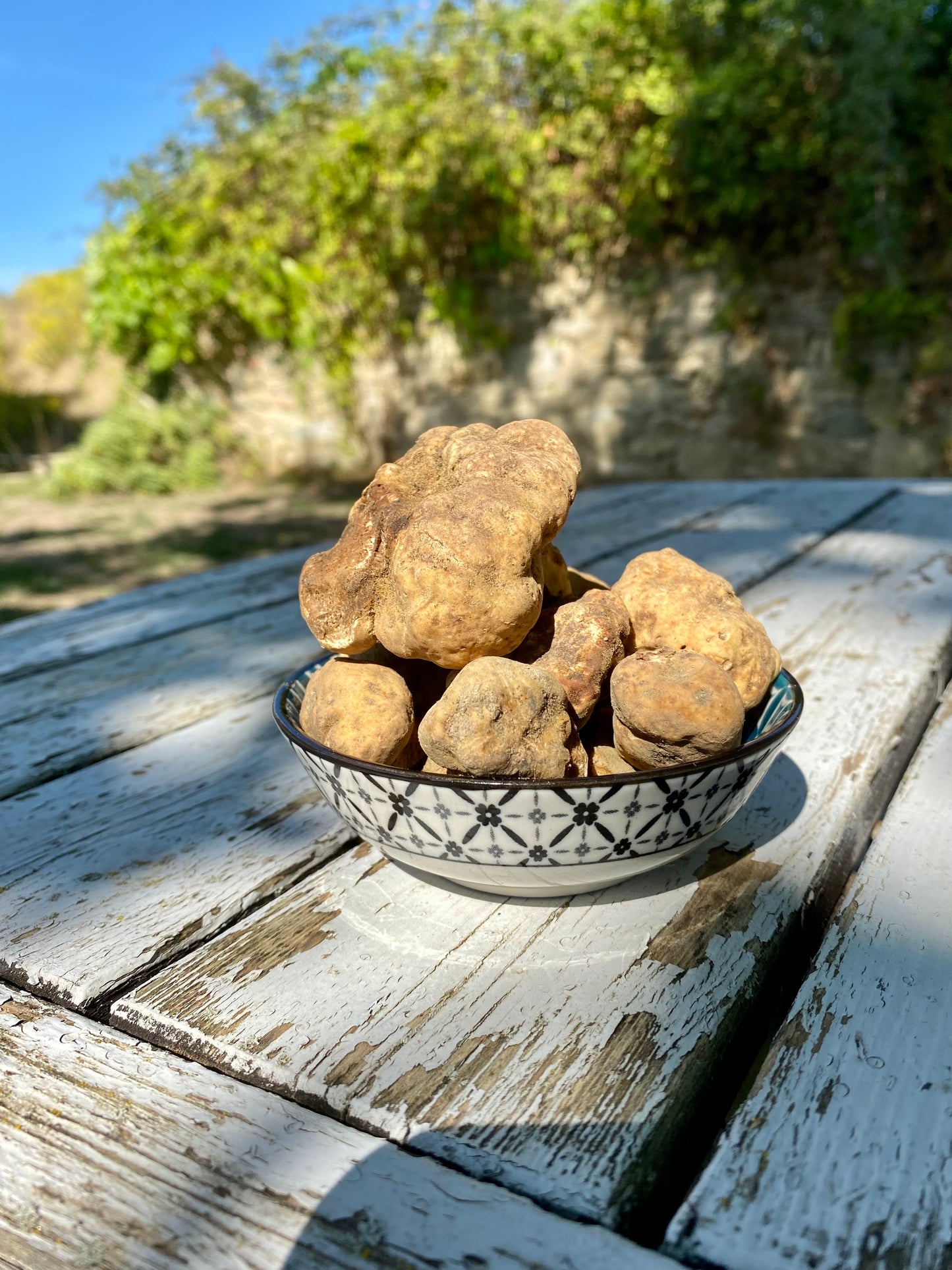 Tartufo Bianco d'Alba (Tuber Magnatum Pico)