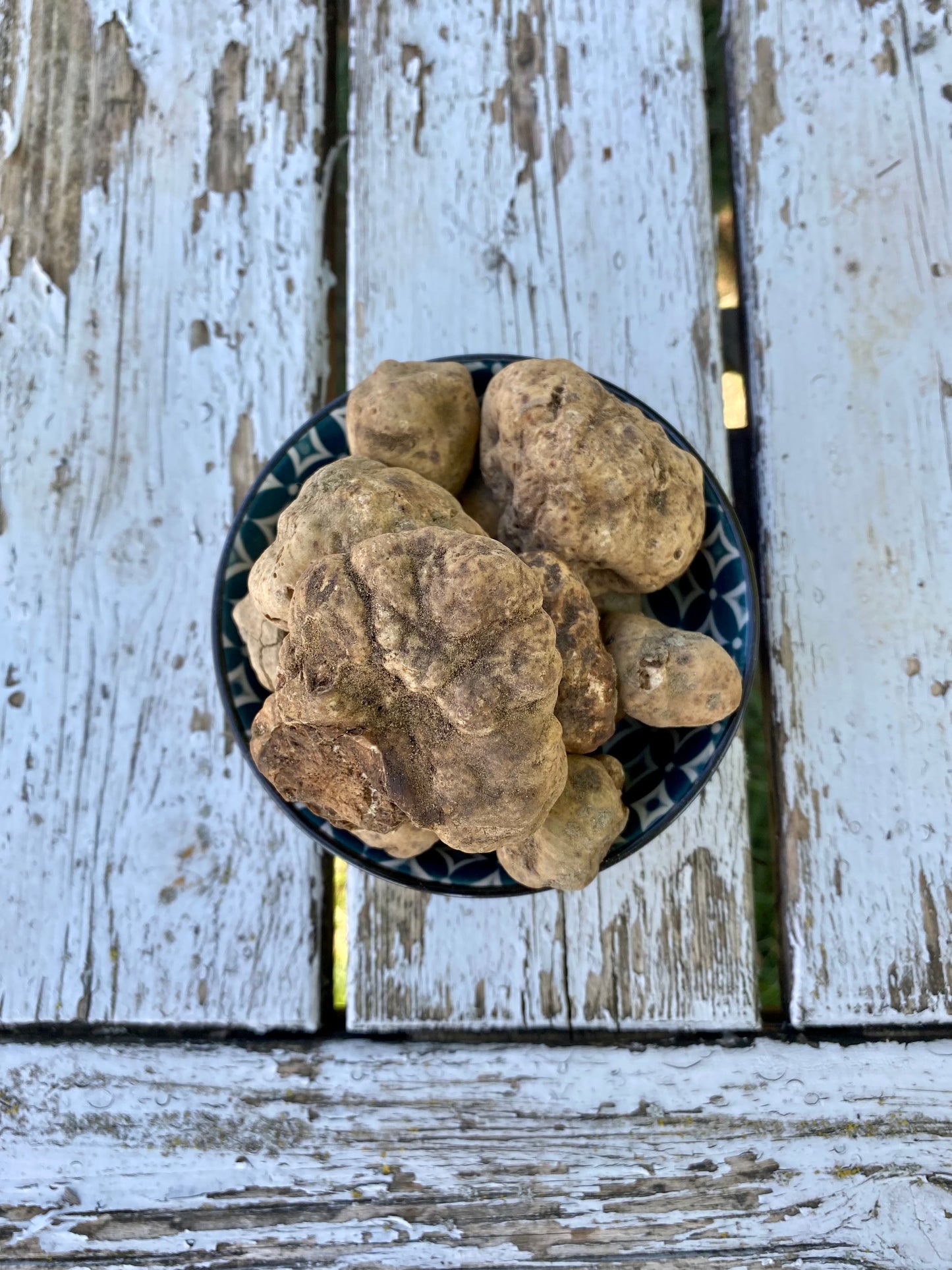 Tartufo Bianco d'Alba (Tuber Magnatum Pico)