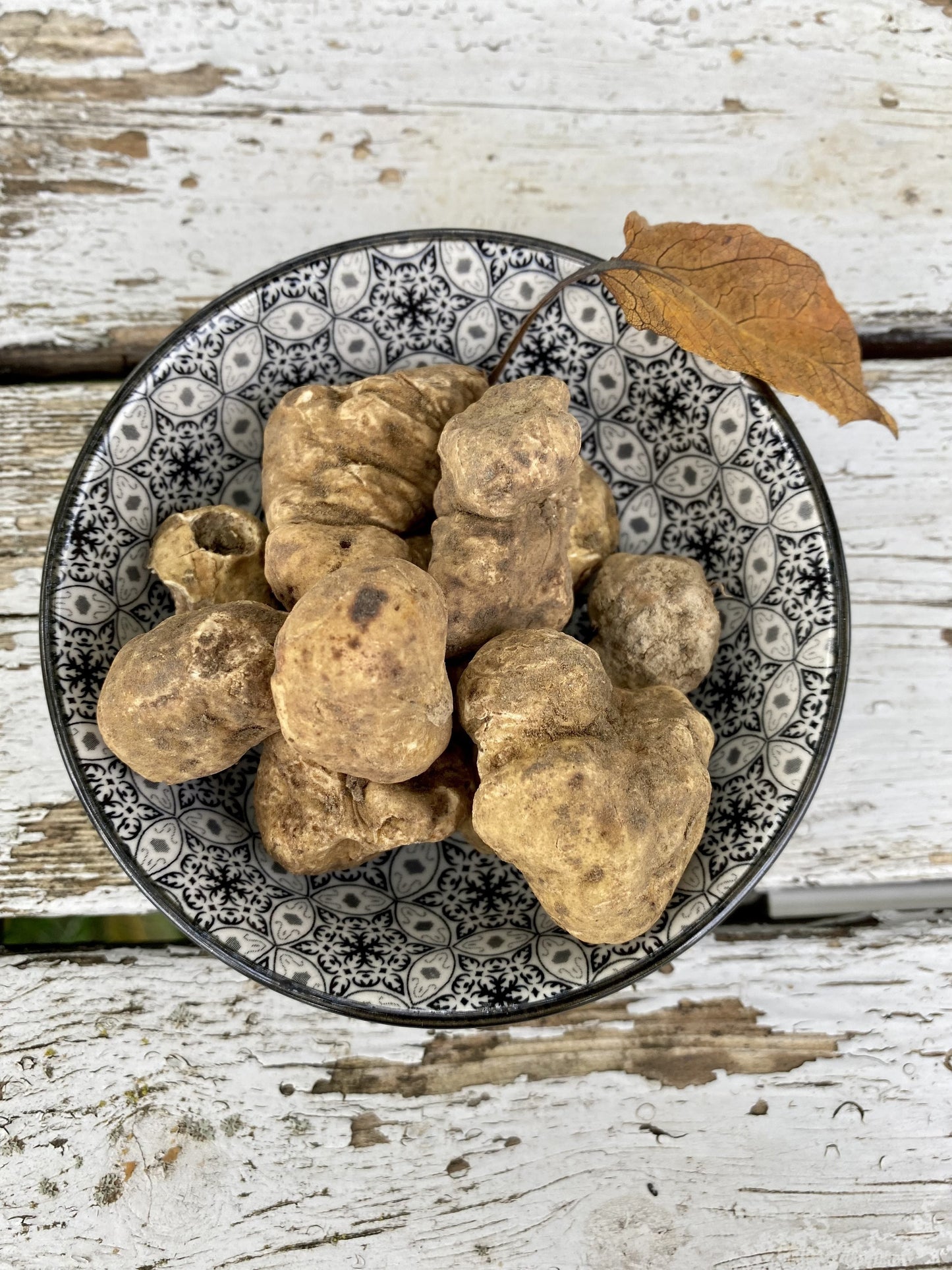 Tartufo Bianco d'Alba (Tuber Magnatum Pico)
