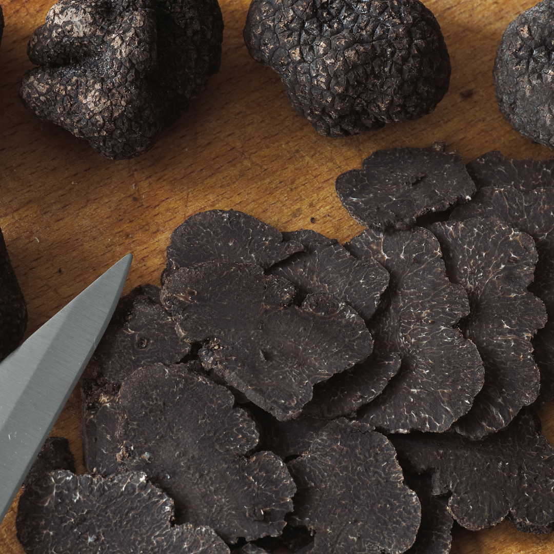 Tartufo Nero Pregiato (Tuber Melanosporum Vitt)