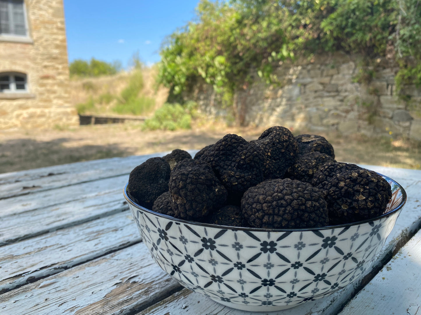 Tartufo Nero Estivo (Tuber Aestivum Vitt)
