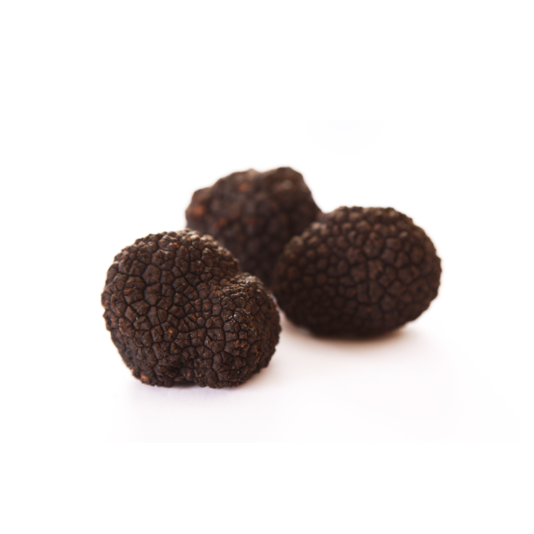 Black Burgundy Truffle (Tuber Uncinatum Chatin)