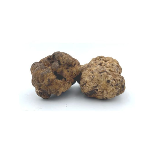 Bianchetto Truffle (Tuber Albidum Pico)