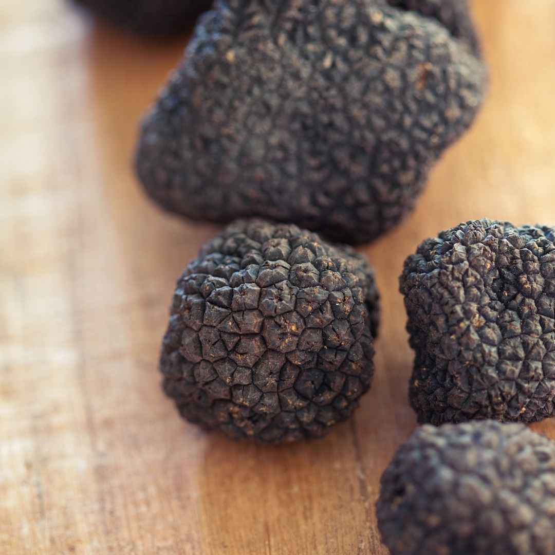Tartufo Nero Estivo (Tuber Aestivum Vitt) 