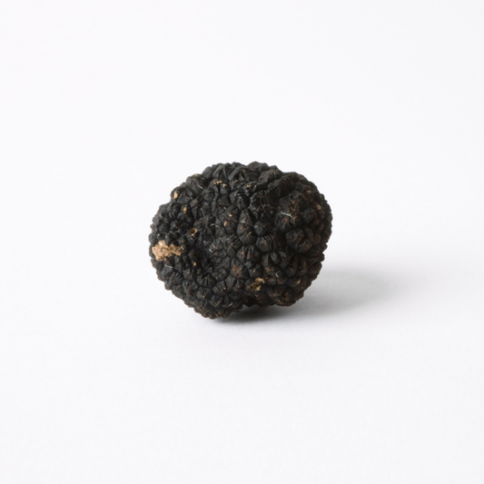 Black Summer Truffle (Tuber Aestivum Vitt)