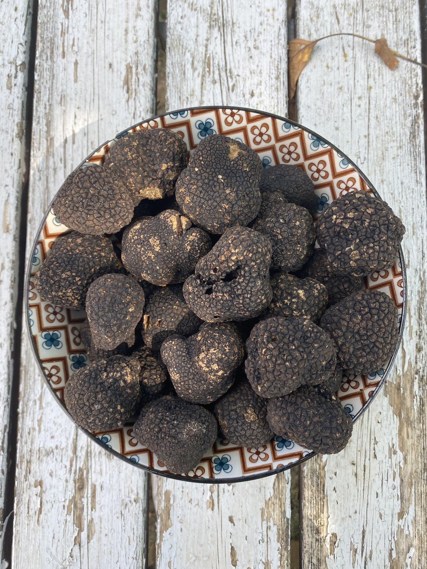 Tartufo Nero Estivo (Tuber Aestivum Vitt) 